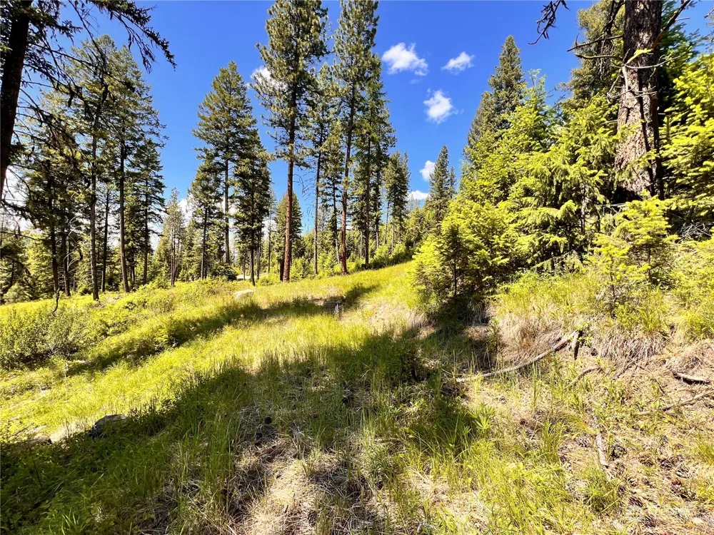 0 TBD Old Kettle Falls Road Republic, WA 99166
