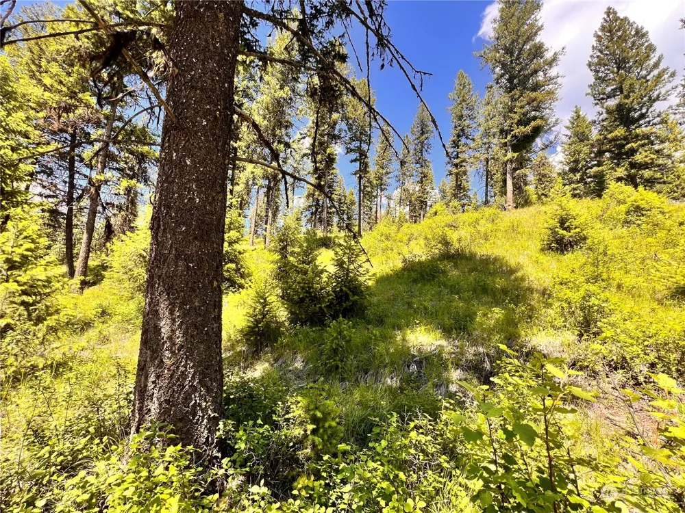 0 TBD Old Kettle Falls Road Republic, WA 99166