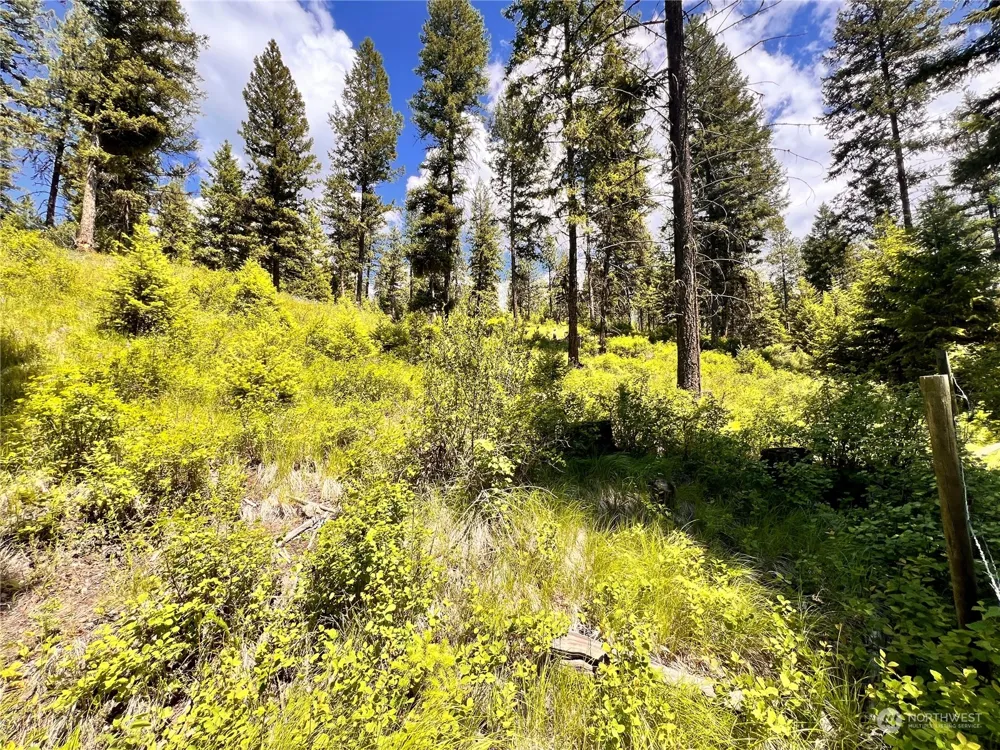 0 TBD Old Kettle Falls Road Republic, WA 99166