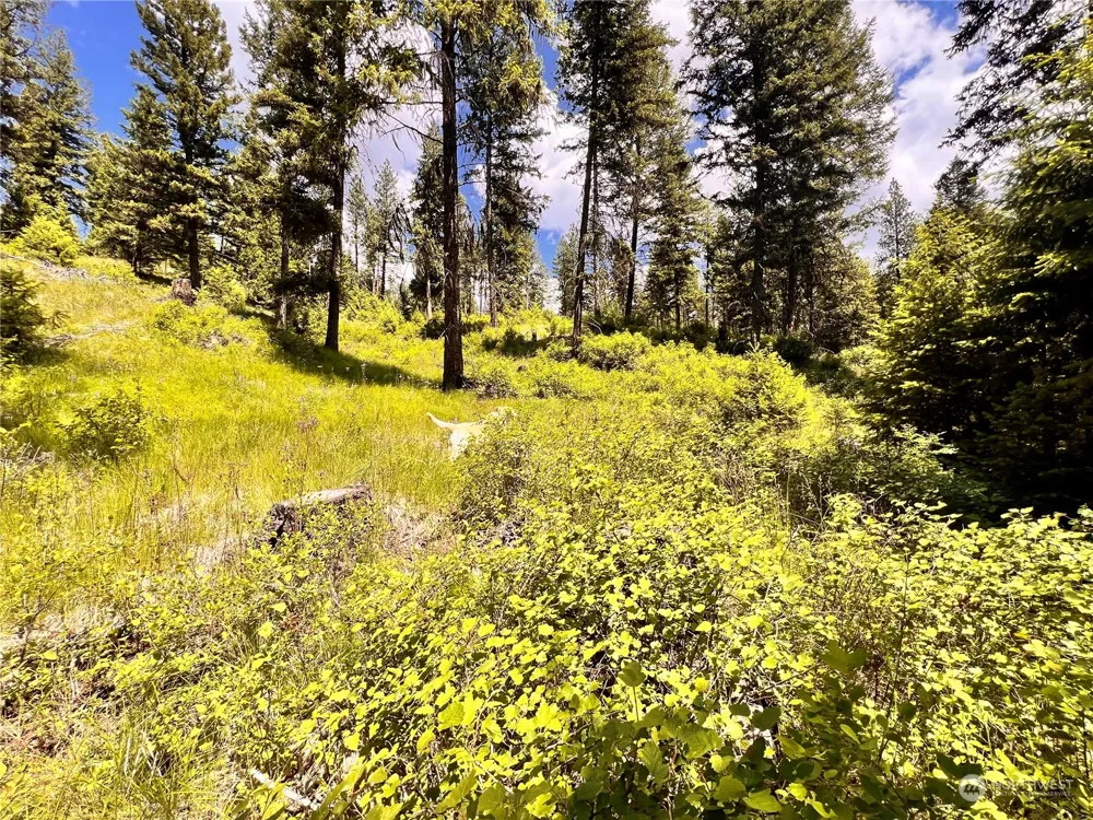 0 TBD Old Kettle Falls Road Republic, WA 99166