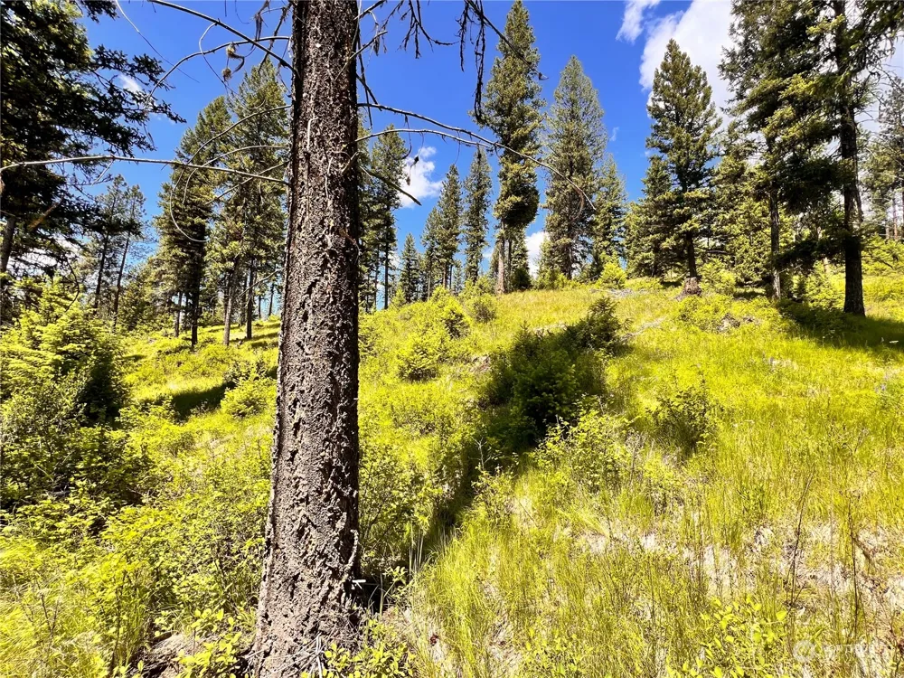 0 TBD Old Kettle Falls Road Republic, WA 99166