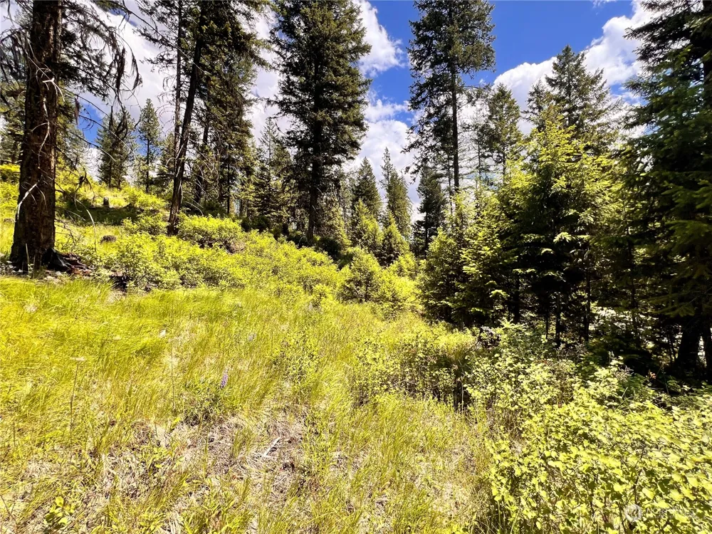 0 TBD Old Kettle Falls Road Republic, WA 99166