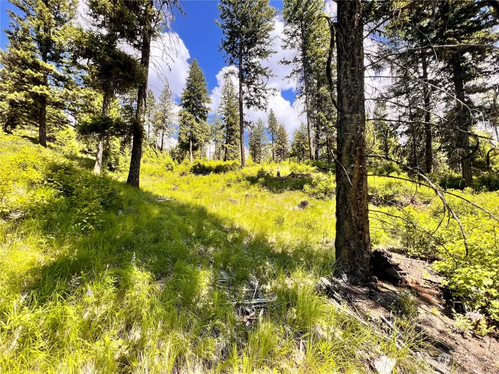 0 TBD Old Kettle Falls Road Republic, WA 99166