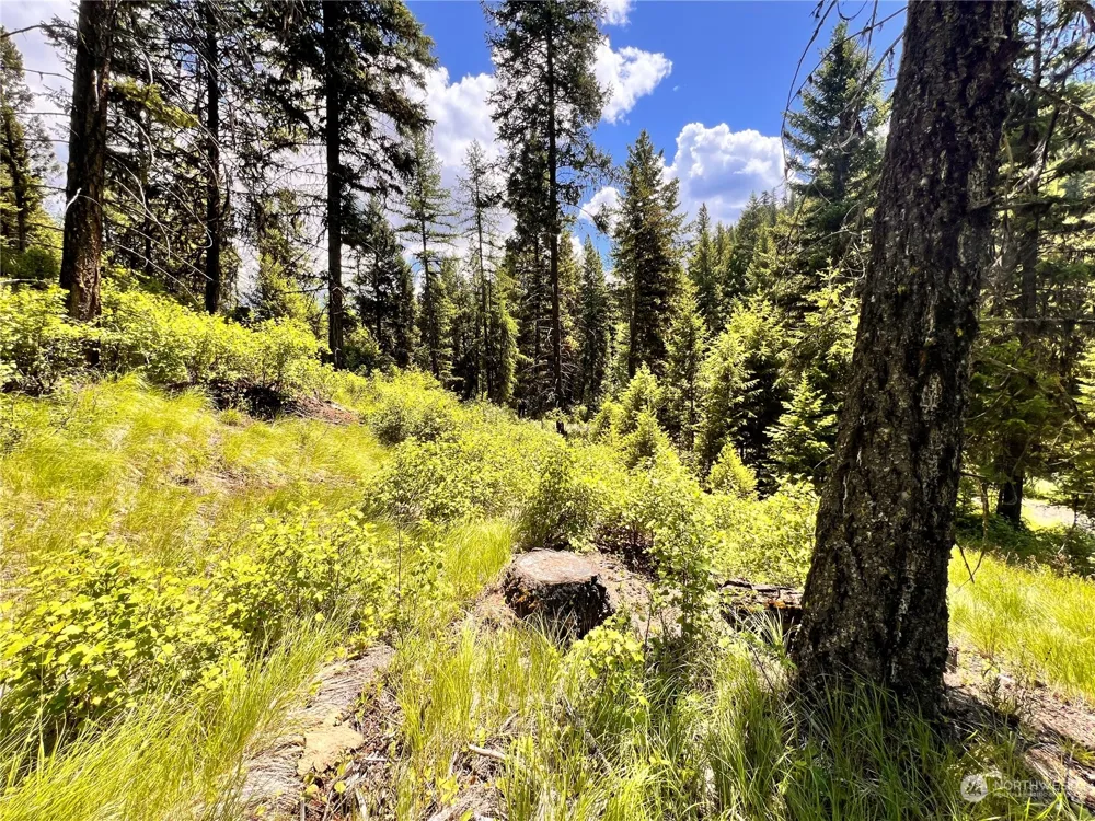 0 TBD Old Kettle Falls Road Republic, WA 99166