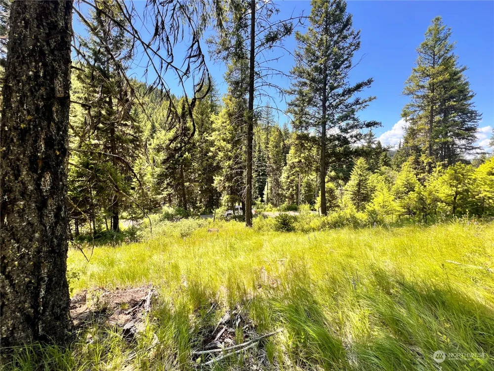 0 TBD Old Kettle Falls Road Republic, WA 99166