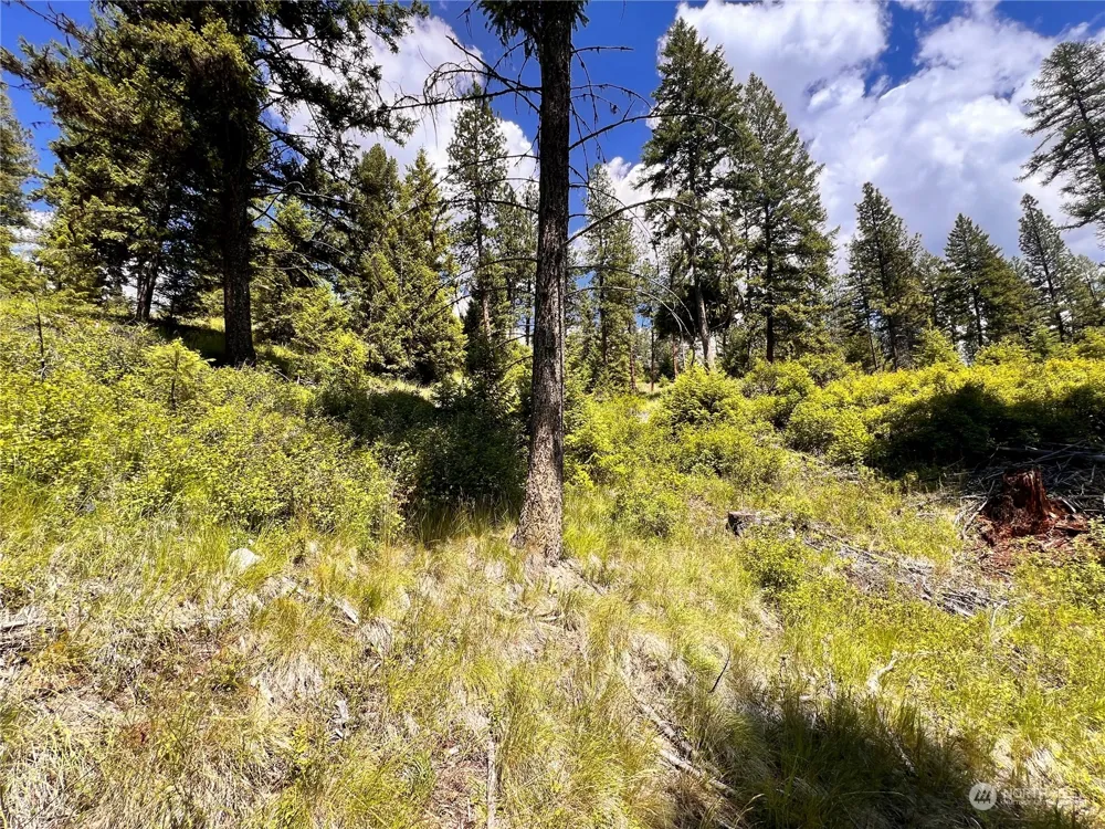 0 TBD Old Kettle Falls Road Republic, WA 99166