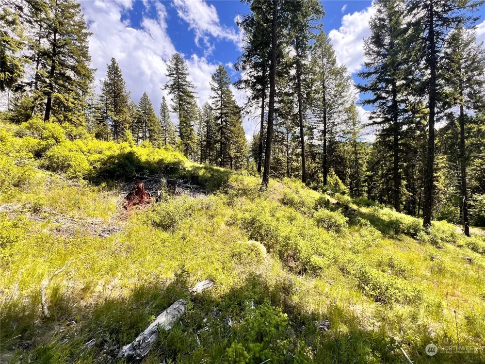 0 TBD Old Kettle Falls Road Republic, WA 99166