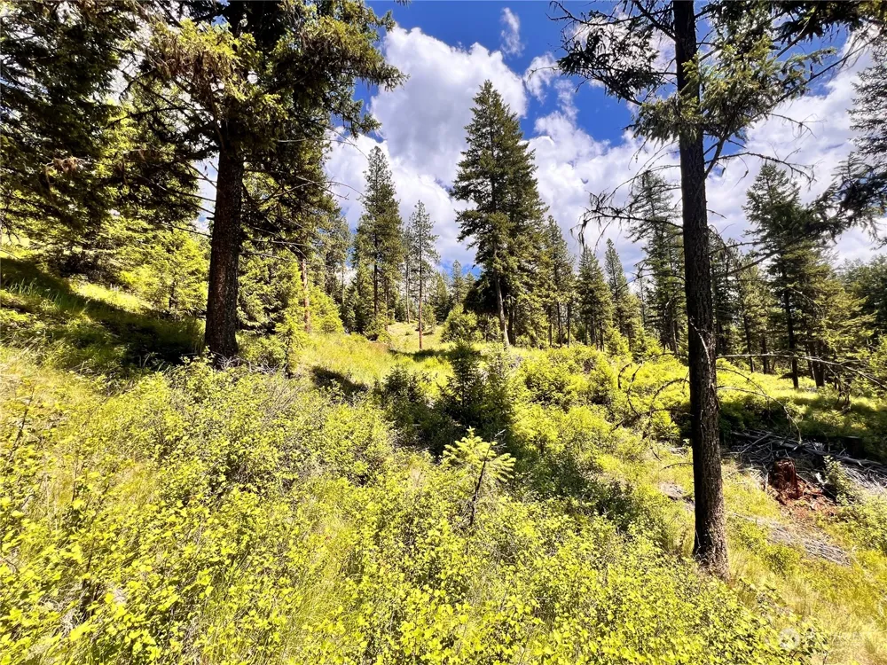 0 TBD Old Kettle Falls Road Republic, WA 99166