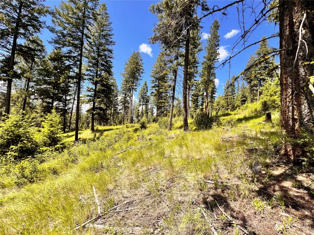 0 TBD Old Kettle Falls Road Republic, WA 99166
