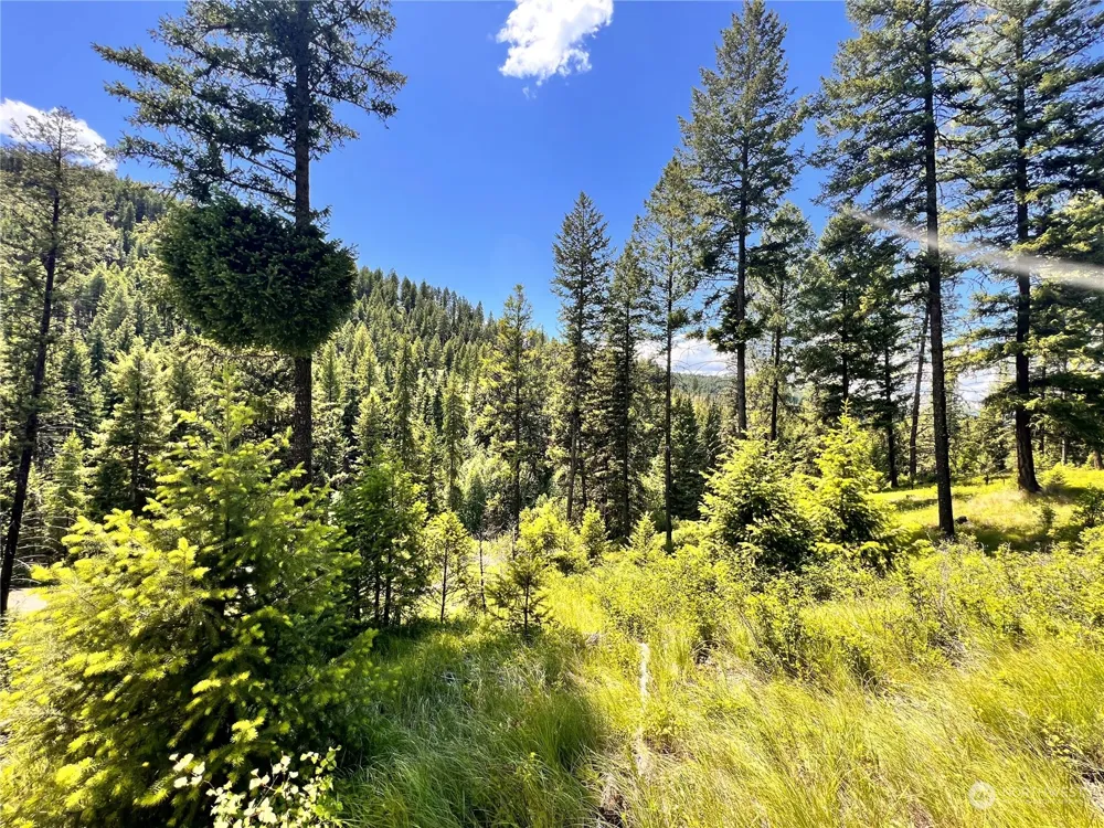 0 TBD Old Kettle Falls Road Republic, WA 99166