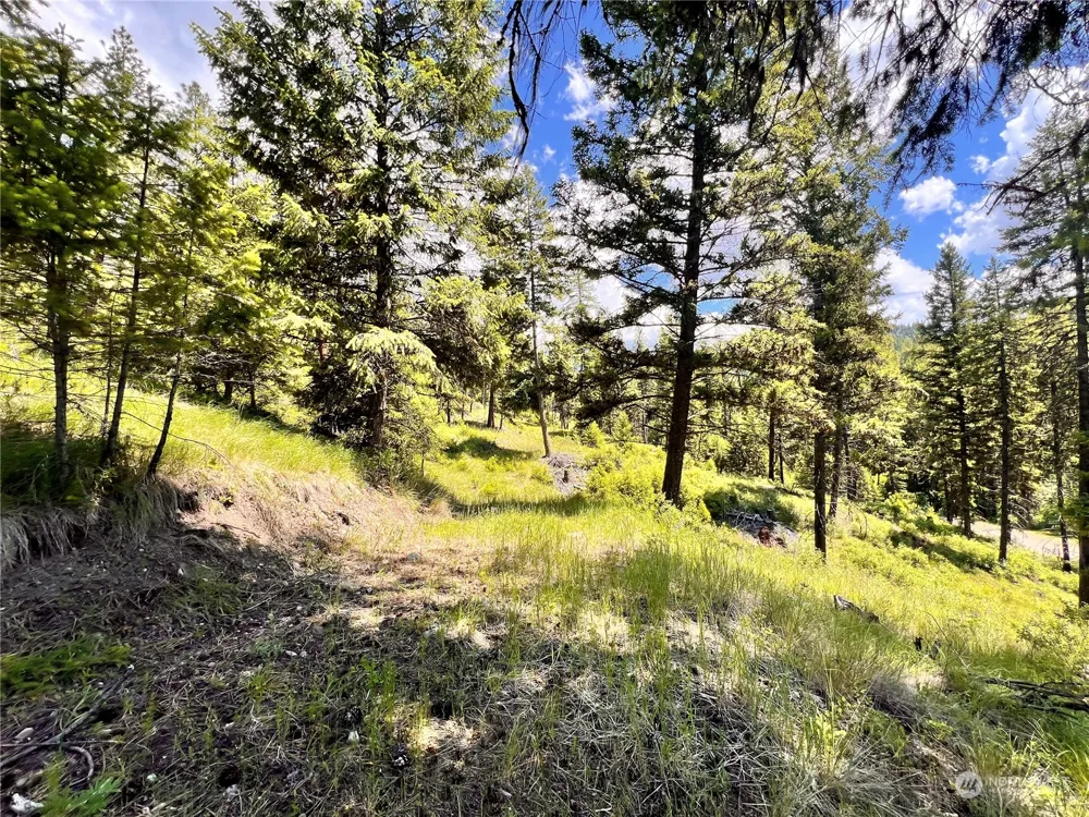 0 TBD Old Kettle Falls Road Republic, WA 99166