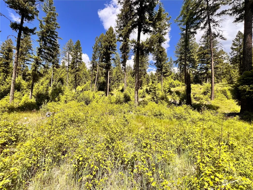 0 TBD Old Kettle Falls Road Republic, WA 99166