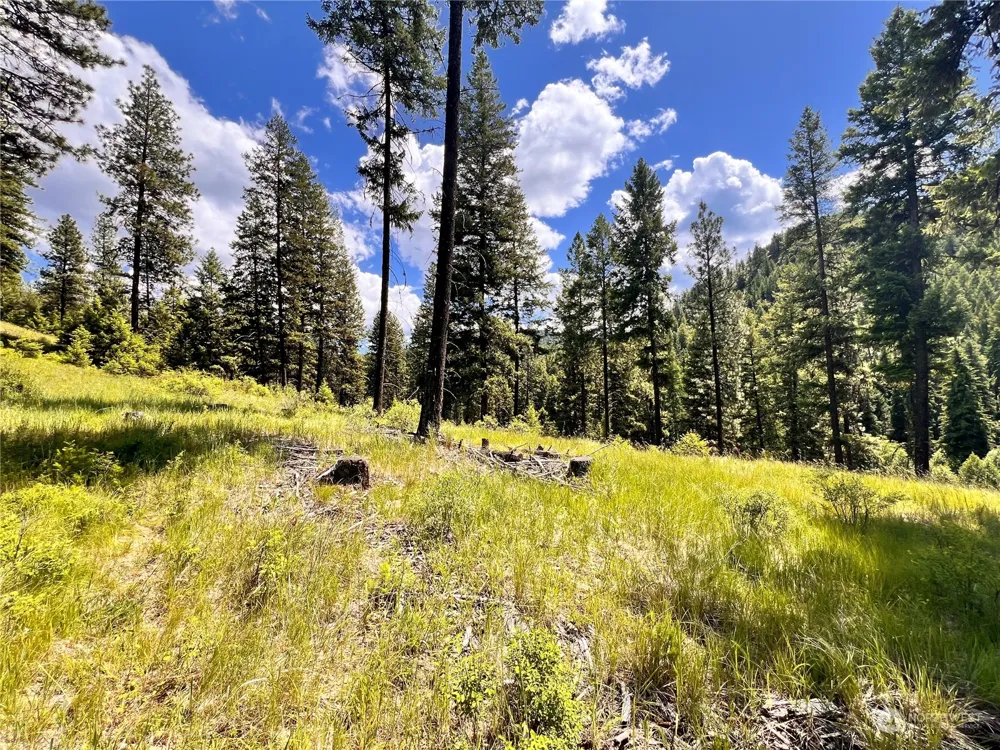 0 TBD Old Kettle Falls Road Republic, WA 99166