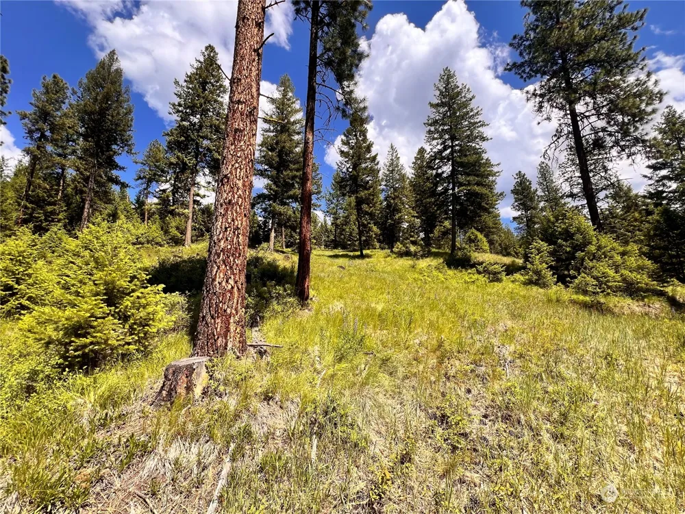 0 TBD Old Kettle Falls Road Republic, WA 99166