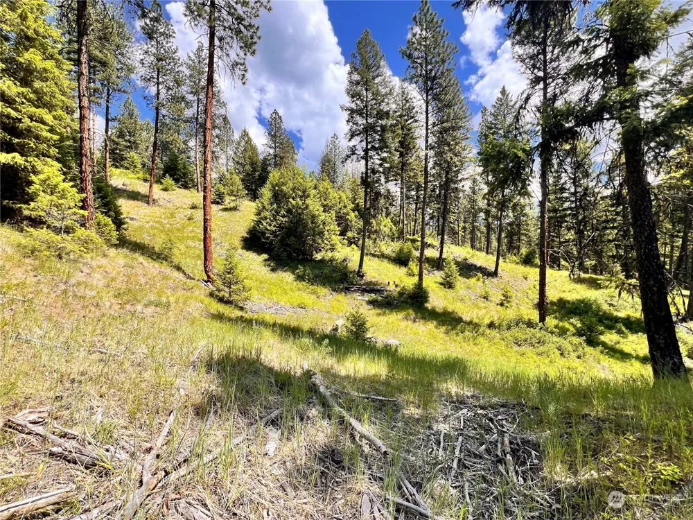0 TBD Old Kettle Falls Road Republic, WA 99166
