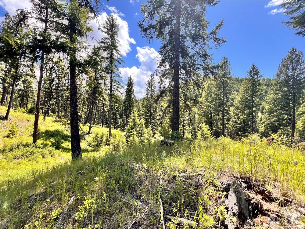 0 TBD Old Kettle Falls Road Republic, WA 99166