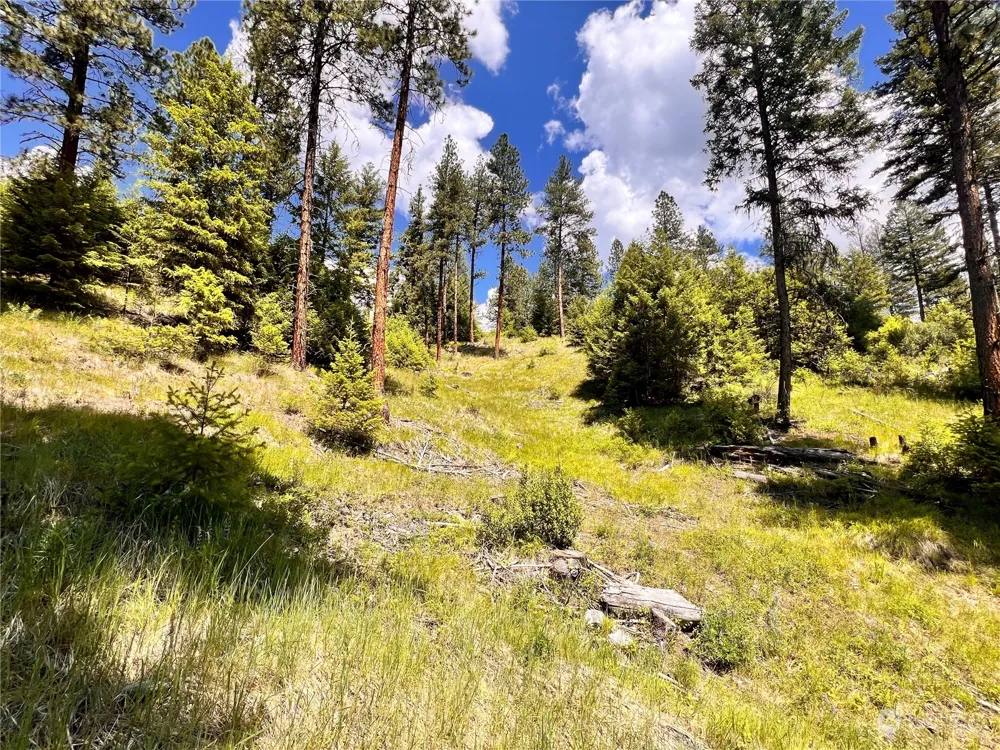 0 TBD Old Kettle Falls Road Republic, WA 99166