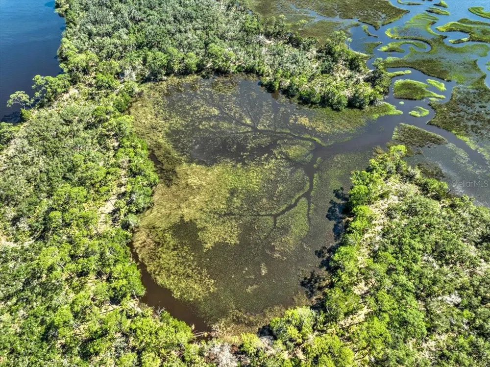 00000 CLARK ISLAND Cedar Key, FL 32625
