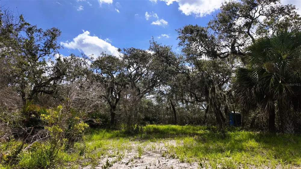 00000 CLARK ISLAND Cedar Key, FL 32625