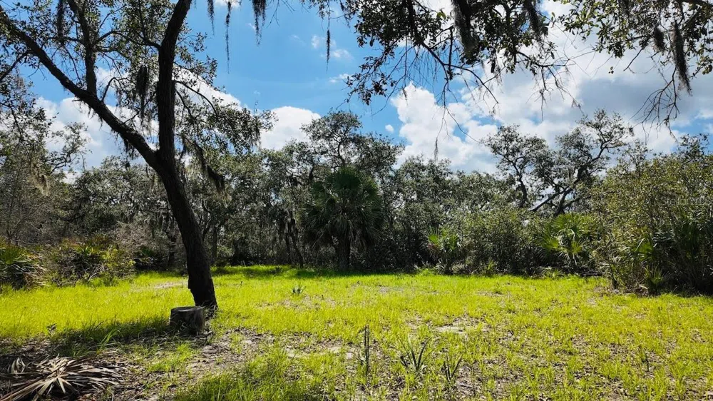 00000 CLARK ISLAND Cedar Key, FL 32625
