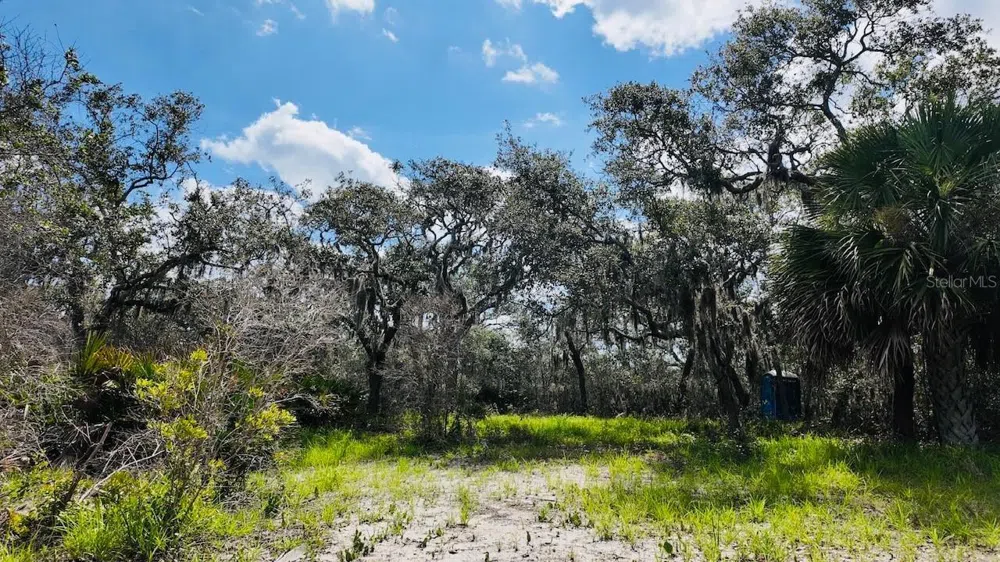 00000 CLARK ISLAND Cedar Key, FL 32625