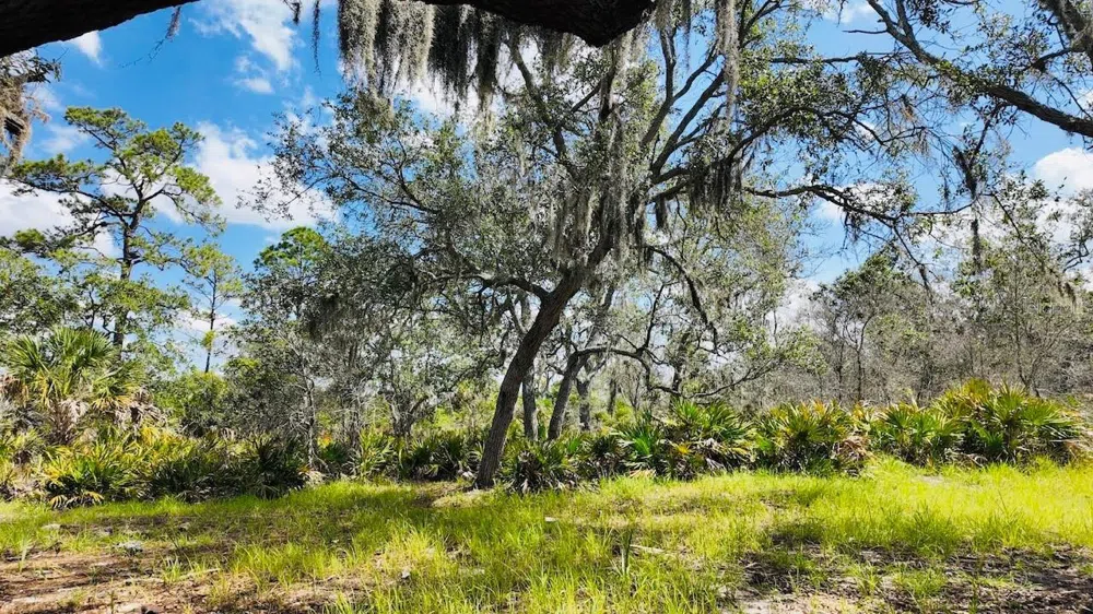 00000 CLARK ISLAND Cedar Key, FL 32625