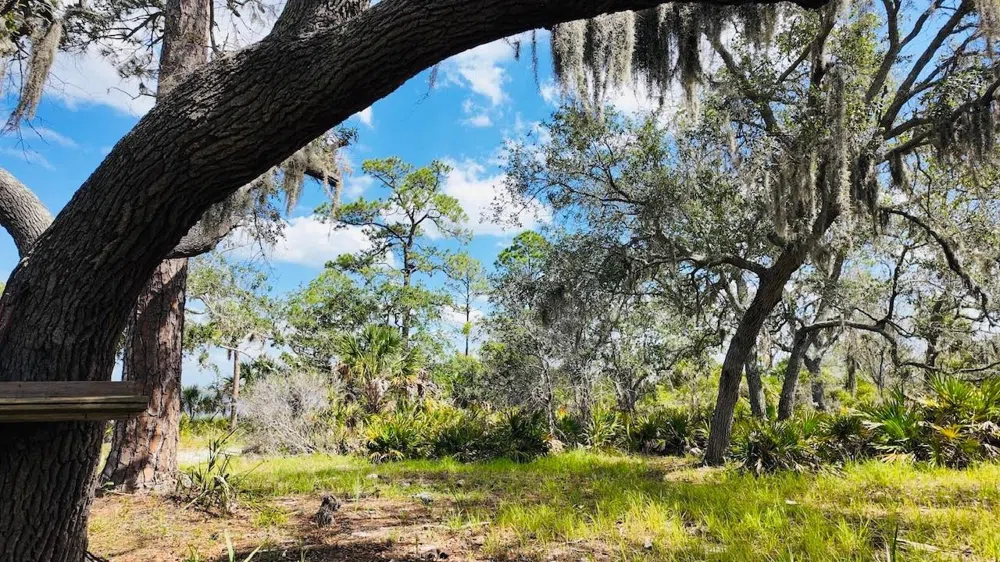 00000 CLARK ISLAND Cedar Key, FL 32625