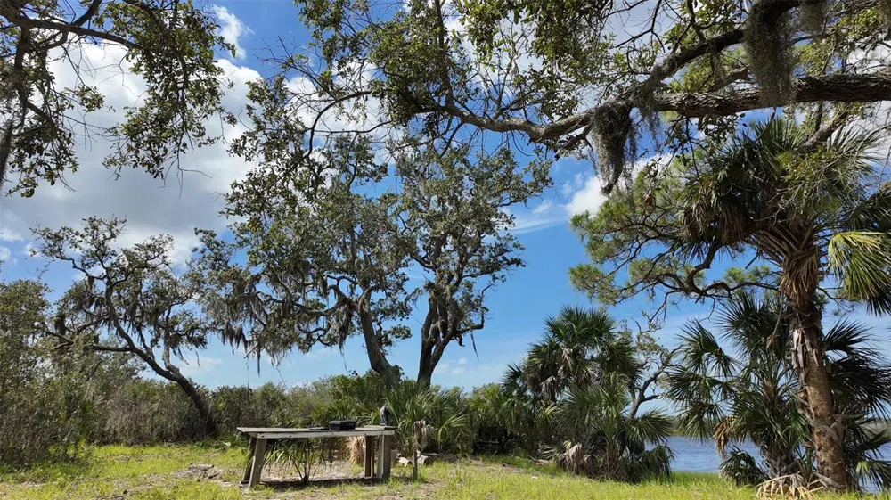 00000 CLARK ISLAND Cedar Key, FL 32625