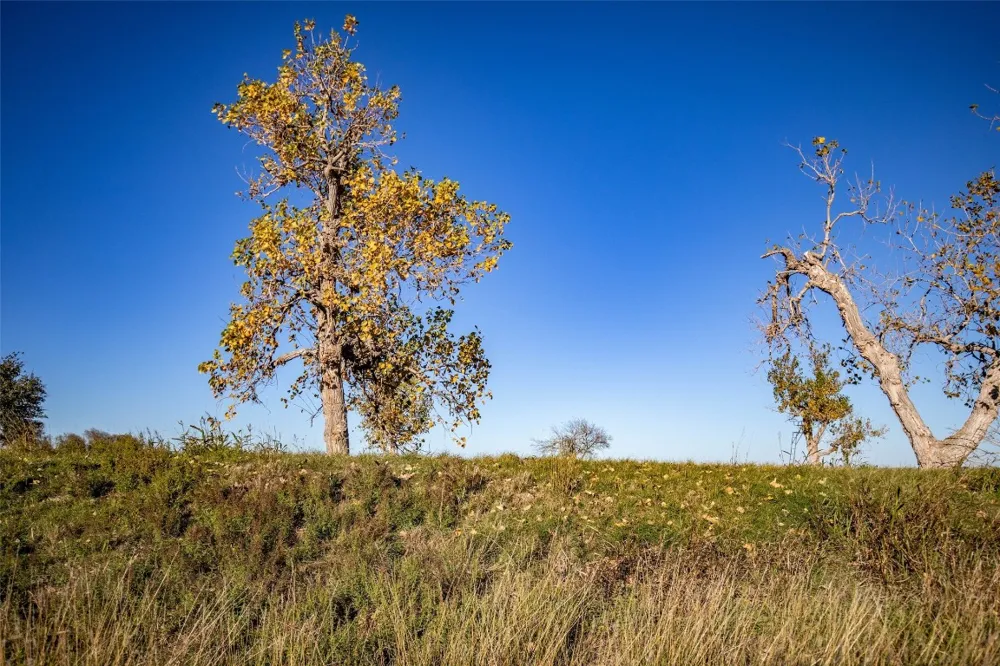 14914 Svenska Road Coupland, TX 78615