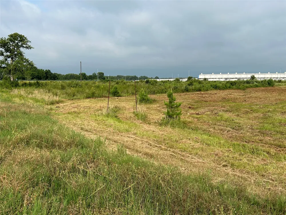 155 US Hwy 79 Palestine, TX 75803