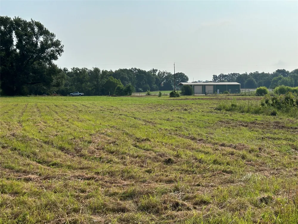 155 US Hwy 79 Palestine, TX 75803