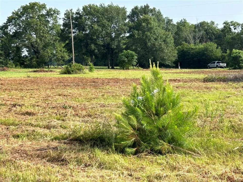 155 US Hwy 79 Palestine, TX 75803