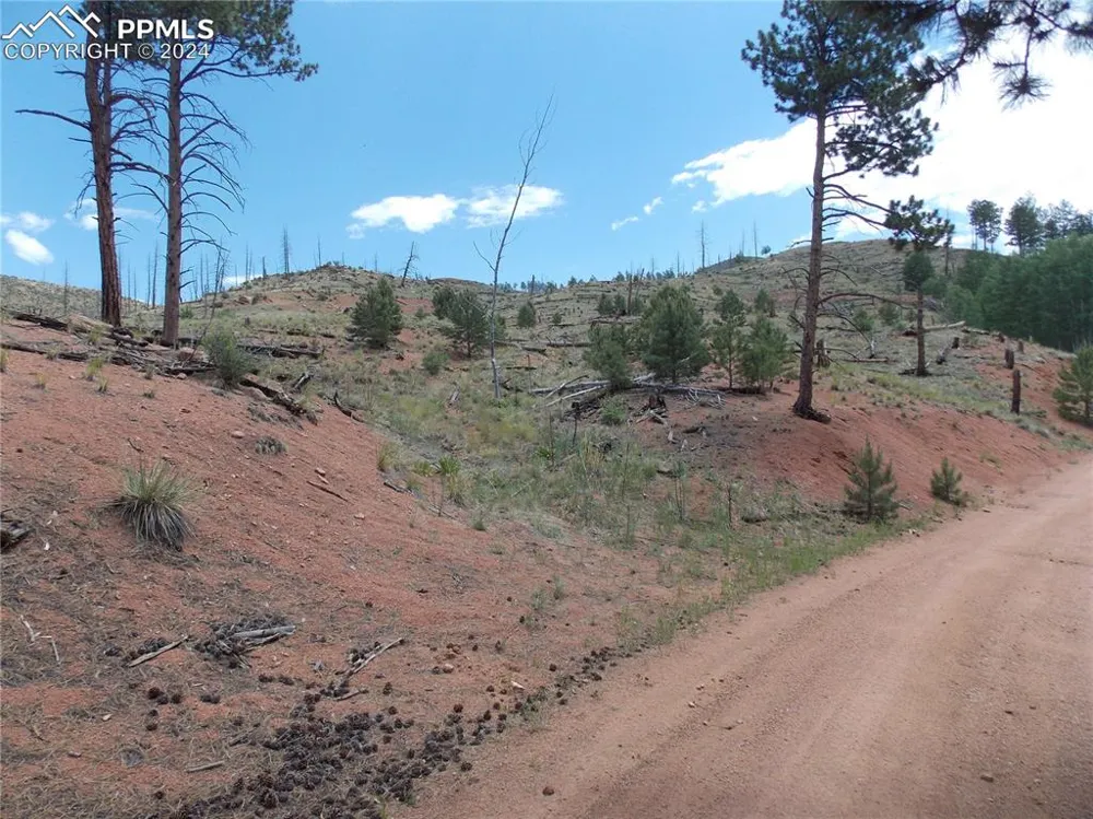 14691 Crooked Trail Road Woodland Park, CO 80863
