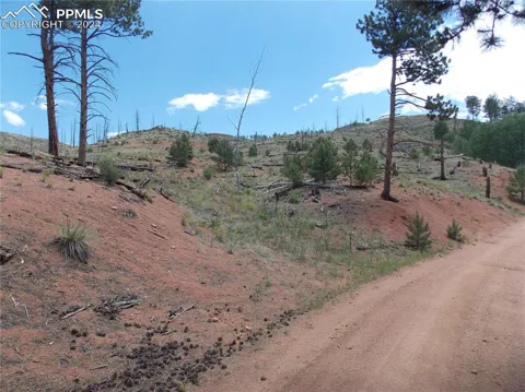 14691 Crooked Trail Road
