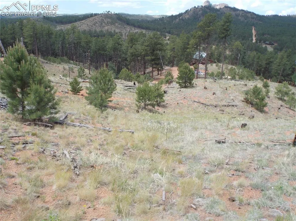14691 Crooked Trail Road Woodland Park, CO 80863