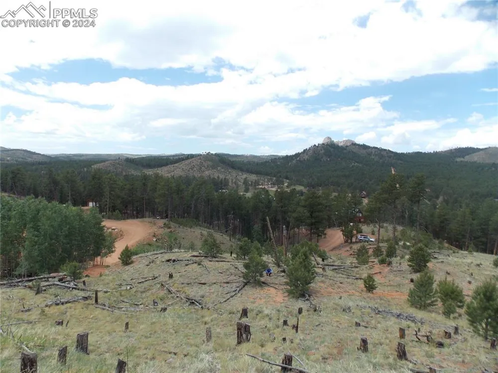 14691 Crooked Trail Road Woodland Park, CO 80863