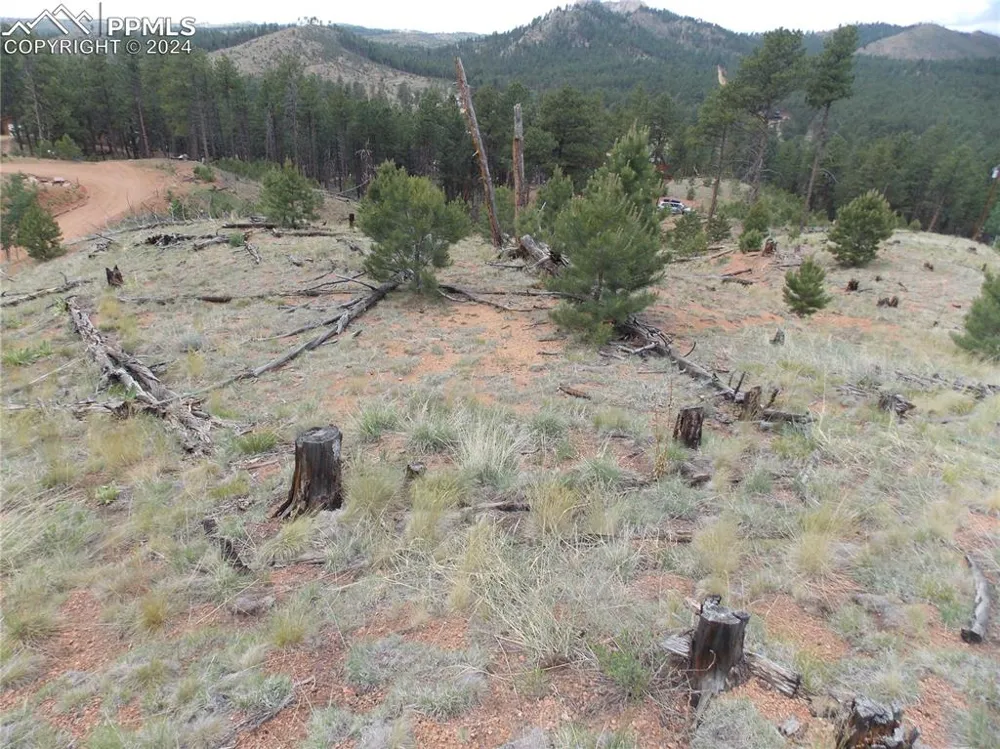 14691 Crooked Trail Road Woodland Park, CO 80863