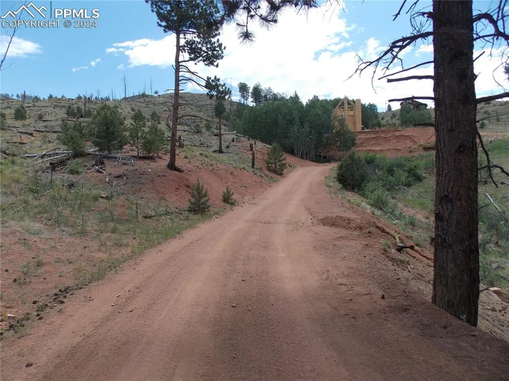 14691 Crooked Trail Road Woodland Park, CO 80863