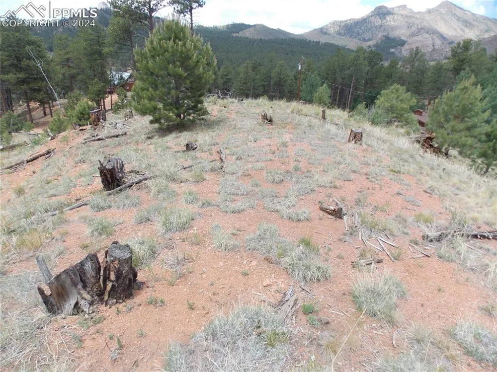14691 Crooked Trail Road Woodland Park, CO 80863