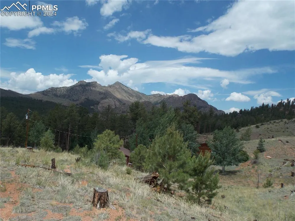 14691 Crooked Trail Road Woodland Park, CO 80863