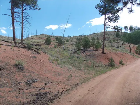 14691 Crooked Trail Road