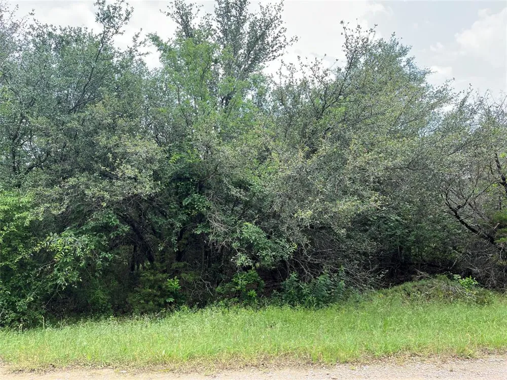 18037 Southhill Drive Whitney, TX 76692
