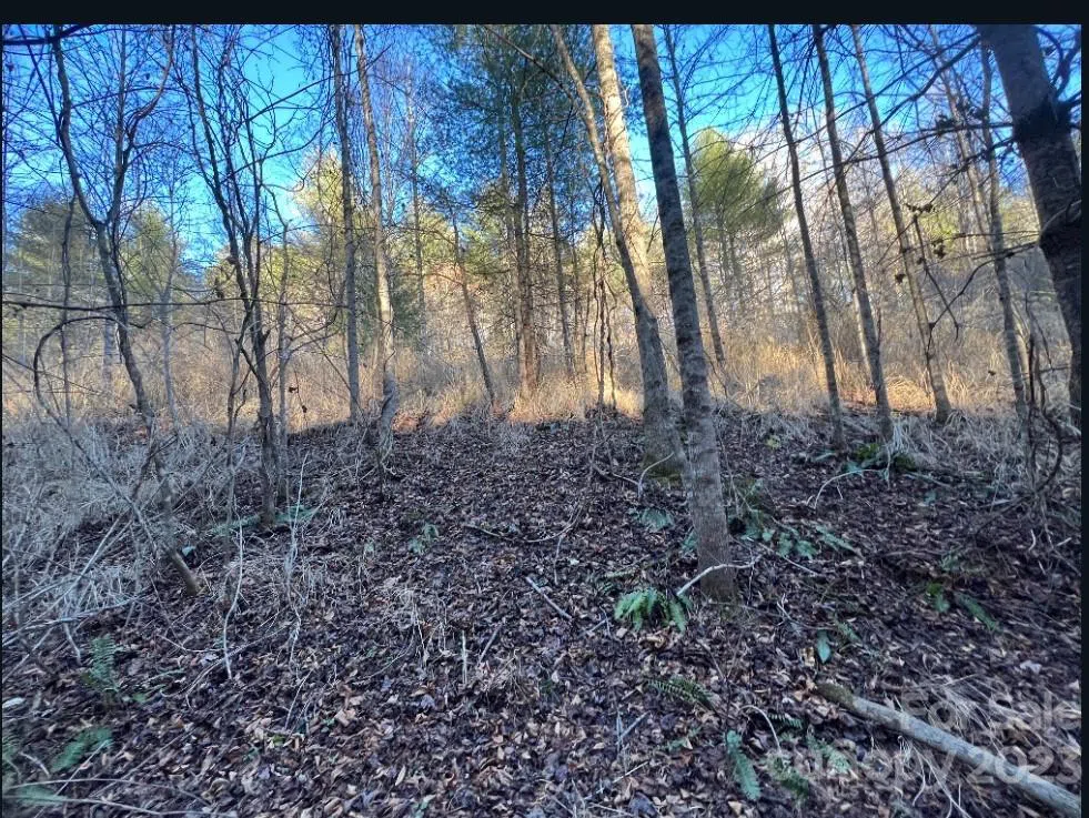 000 Grapevine Road Marshall, NC 28753