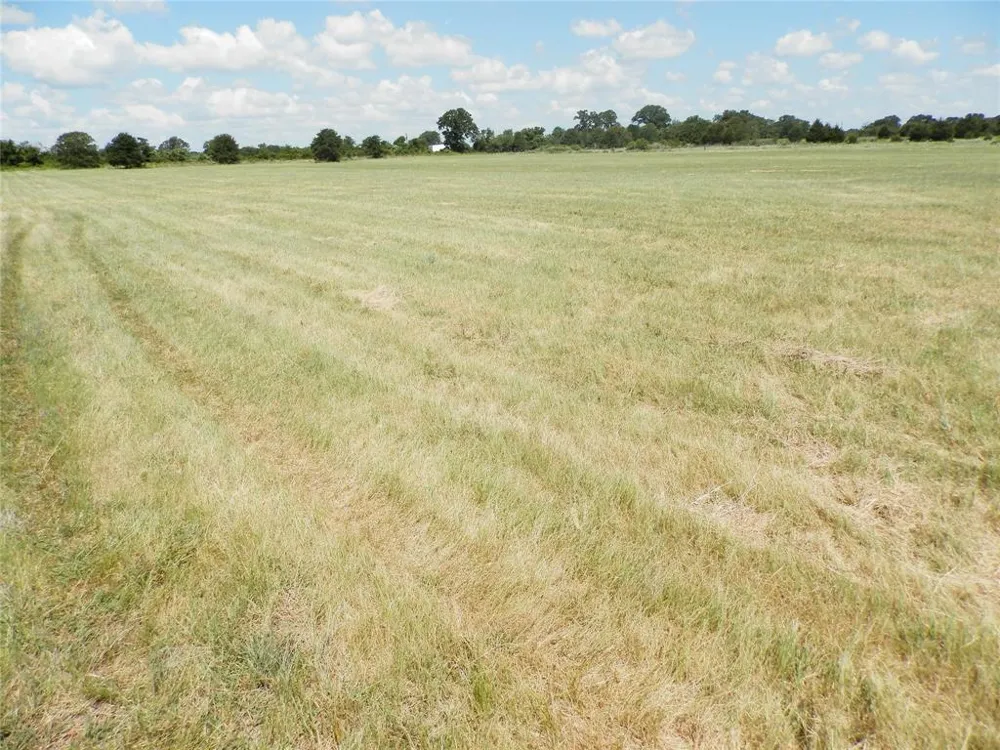 Cr-1560 Chico, TX 76431