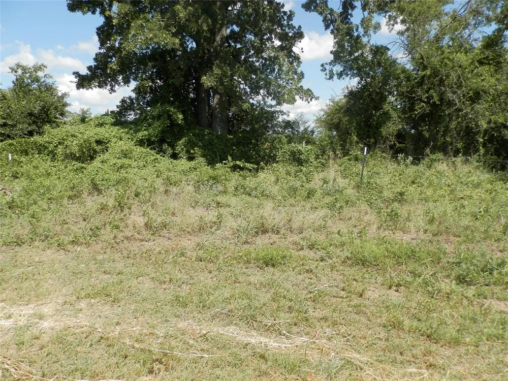 Cr-1560 Chico, TX 76431