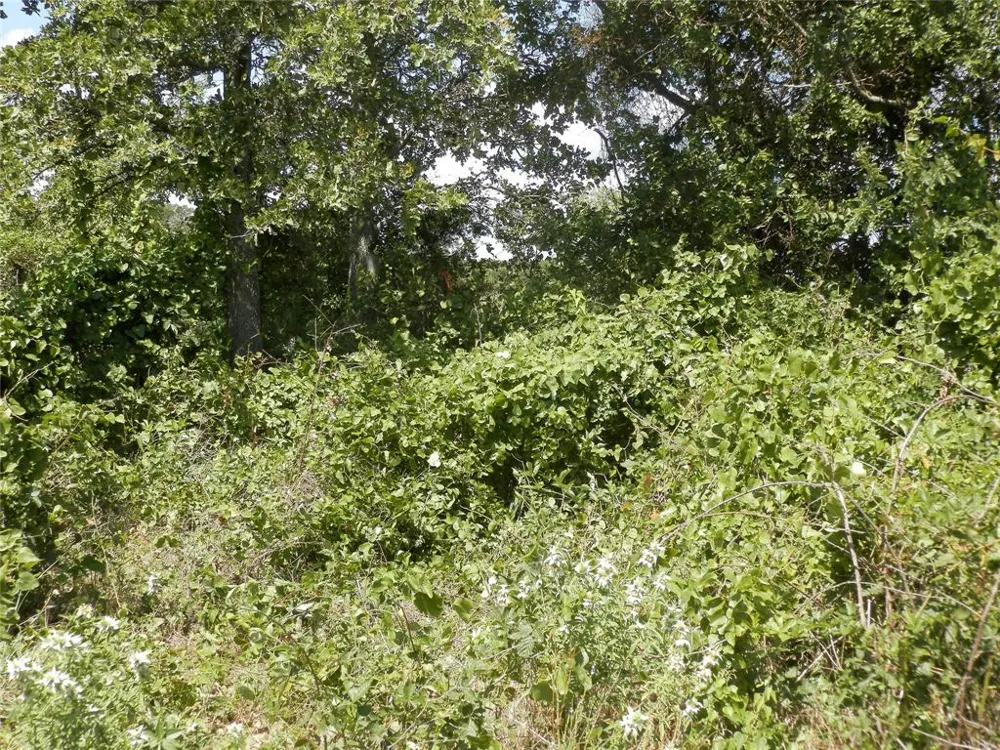 Cr-1560 Chico, TX 76431