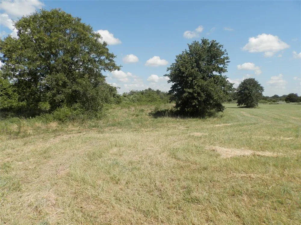 Cr-1560 Chico, TX 76431