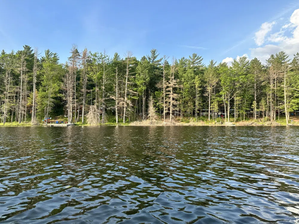 3797 Wequas Lake Road Gaylord, MI 49735