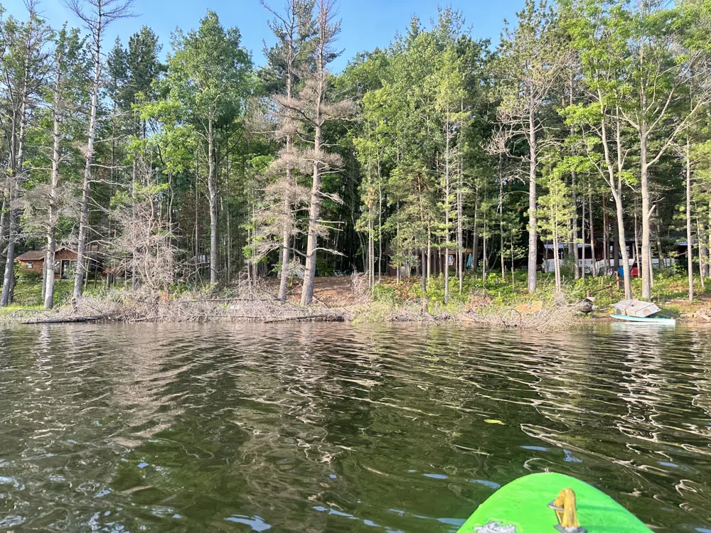 3797 Wequas Lake Road Gaylord, MI 49735