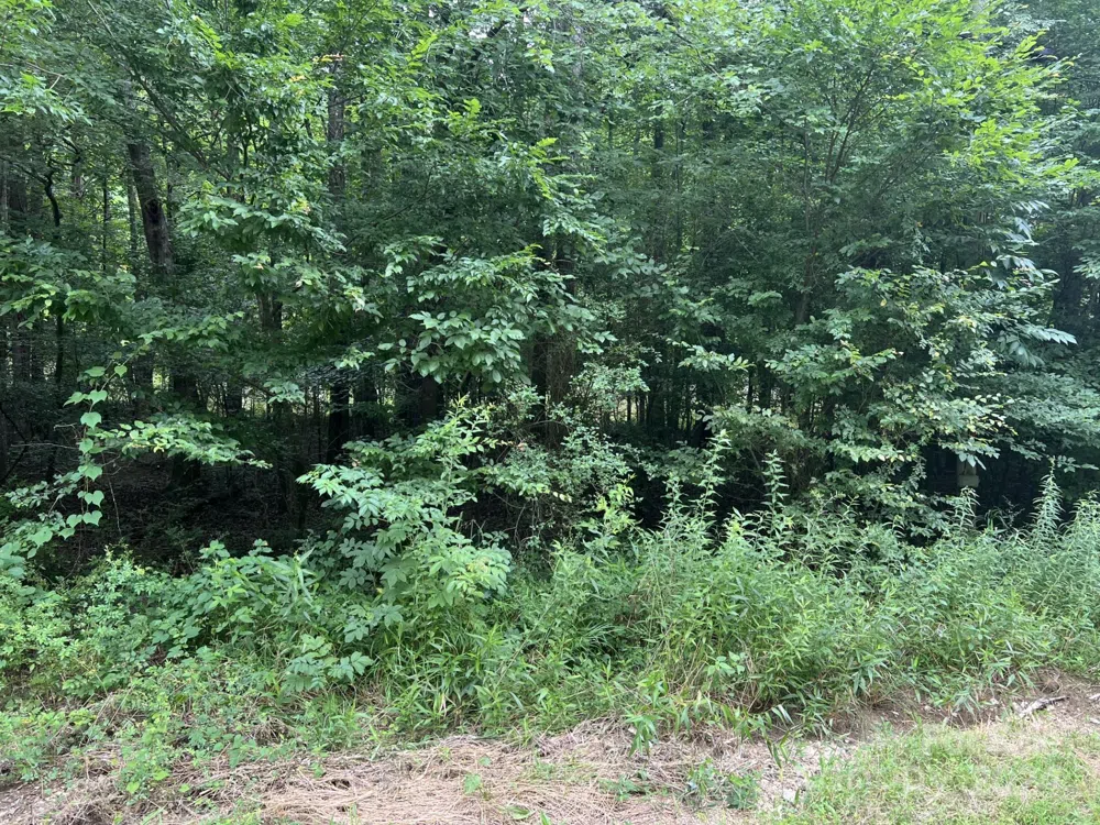 00 Cottonville Road Norwood, NC 28128